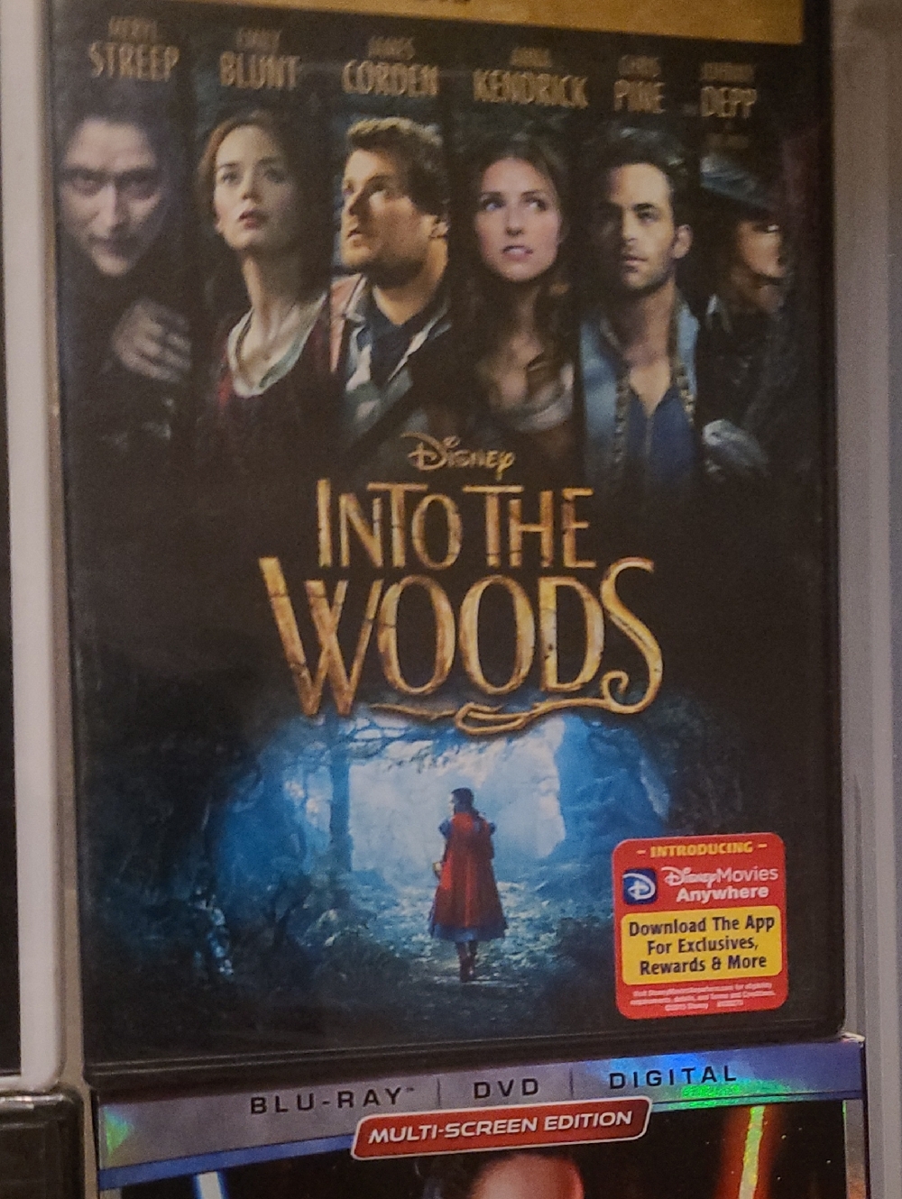 Disney Into the Woods Blu-ray Cover - Dark Blue and Gold